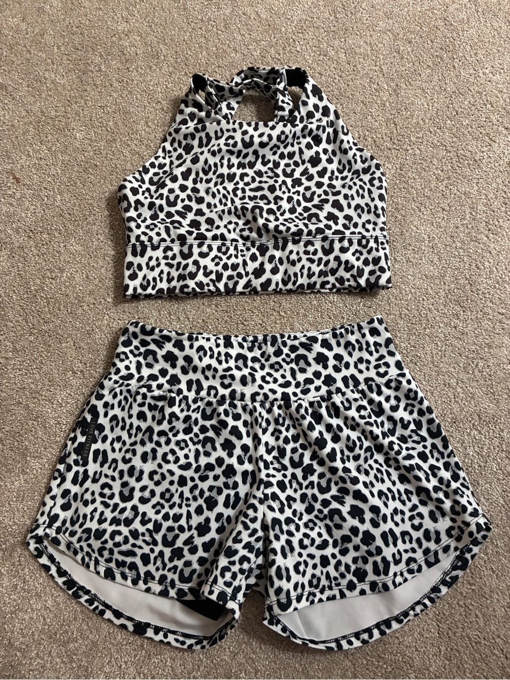 Love Fitness Apparel Leopard Print Two-Piece Active Set